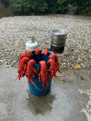 Steamed Crayfish