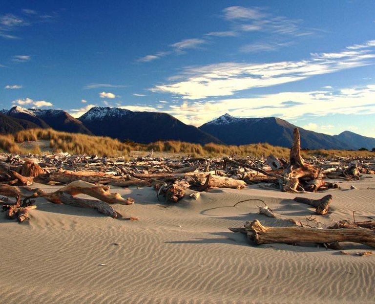 Haast West Coast NZ