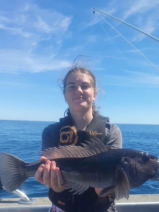 Bluecod