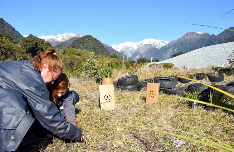 Franz Josef Wilderness Tours