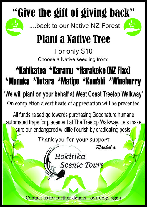 Hokitika Scenic Tours West Coast NZ