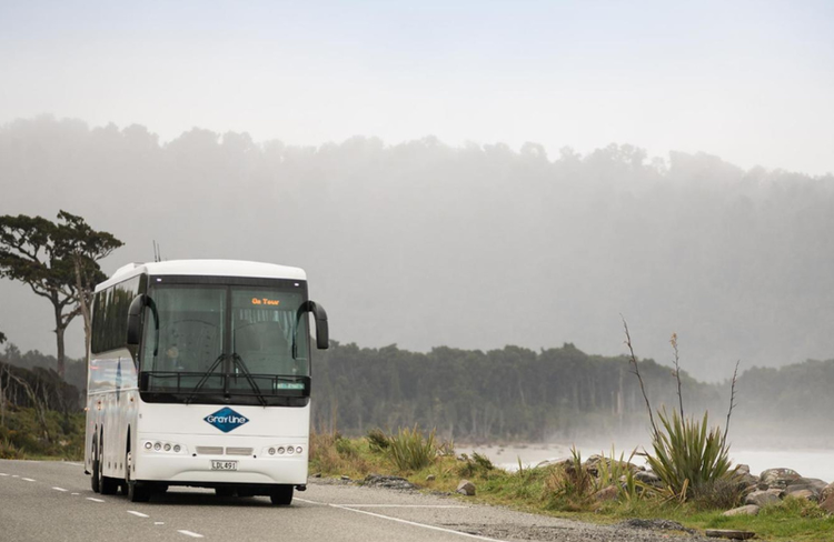 Gray Line Coach