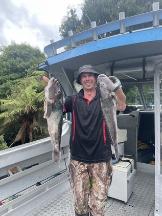 Bluecod