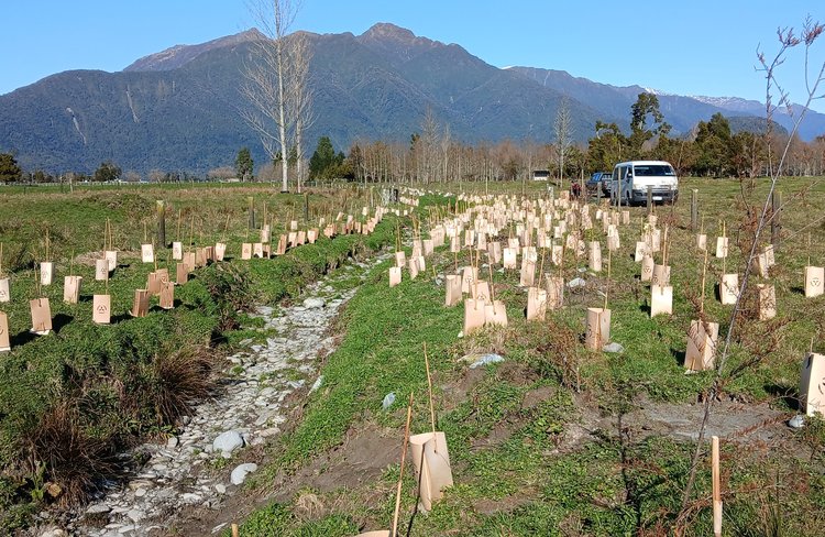 OPP planting day