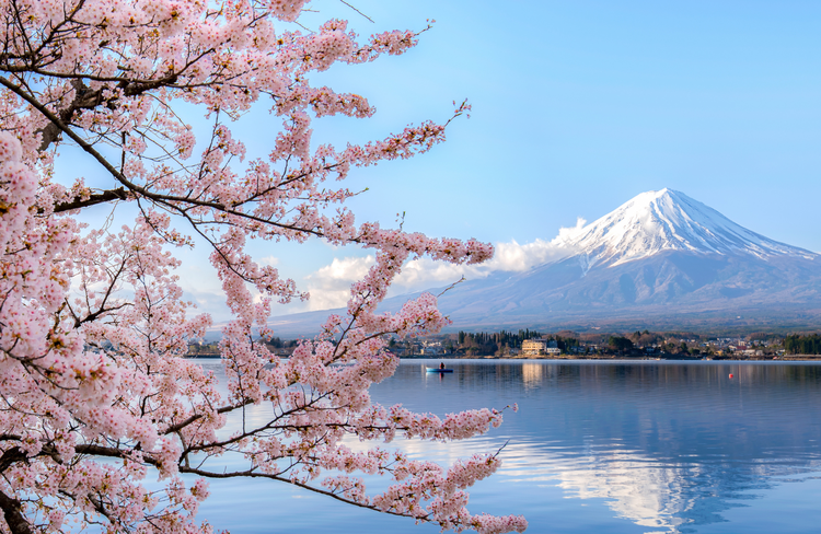 japan (Canva.com)