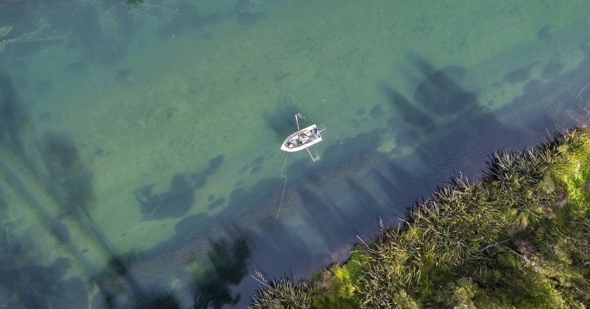 Lake Brunner, Moana West Coast NZ