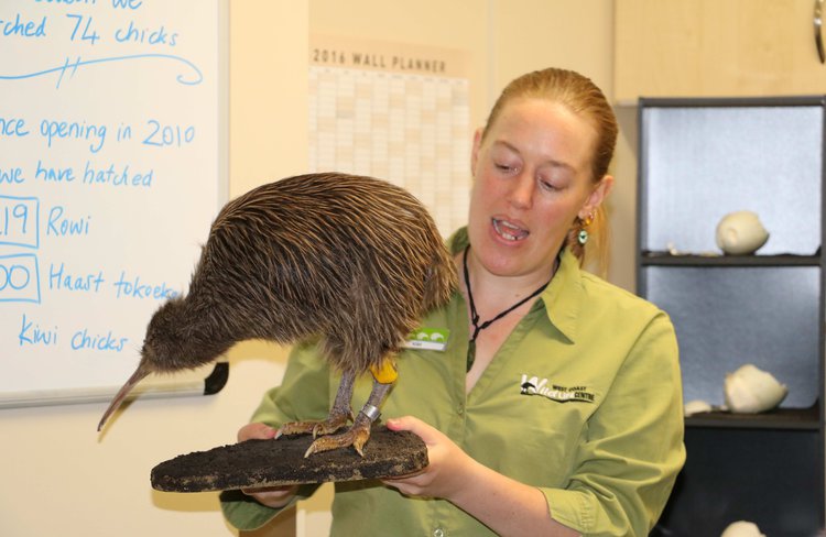 Meet Kim - our senior Kiwi Ranger.