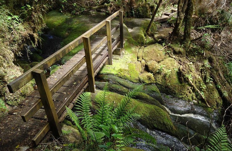 Oparara Walkway