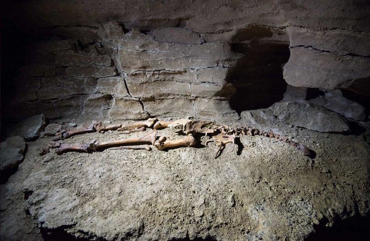 Karamea Caves