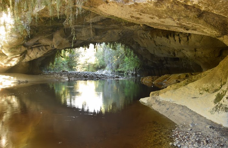 Oparara Arches
