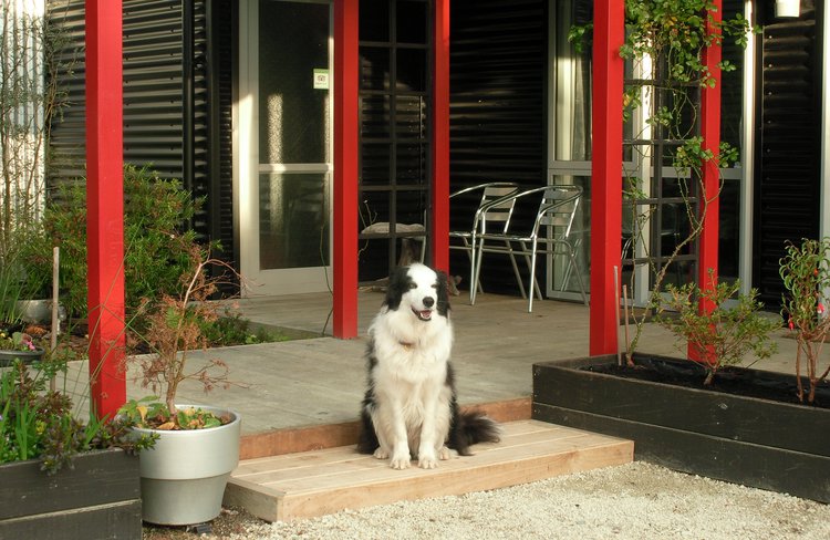 Boz awaiting your arrival